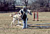 Jr in a jumping lesson